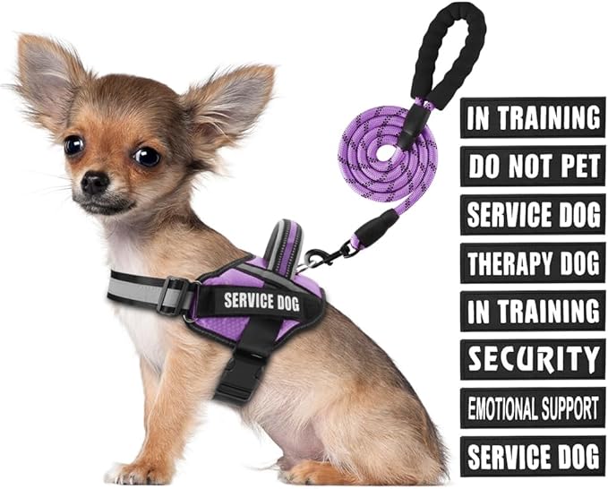 Service Dog Vest Harness and Leash Set, Animire in Training Dog Harness with 10 Dog Patches, Reflective Dog Leash with Soft Padded Handle for Small, Medium, Large, and Extra-Large Dogs (Purple, S)