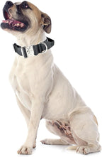 Tactical Dog Collar, 1.5" Wide Thick Heavy Duty Dog Collar with Handle, Soft Neoprene Padded Military-Grade Nylon Training Collar with Quick Release Metal Buckle for Medium Dogs(Black, M)