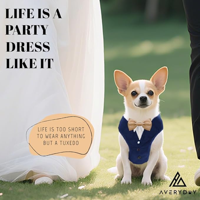 AVERYDAY XS Pet Tuxedo Harness, Wedding Costume Outfit for Small Dogs, Slim Cats and Tiny Pets with 9.1" Neck, 14.2-18.9" Chest, 9" Max Head Girth, Formal Suit Costume for Mini Breeds