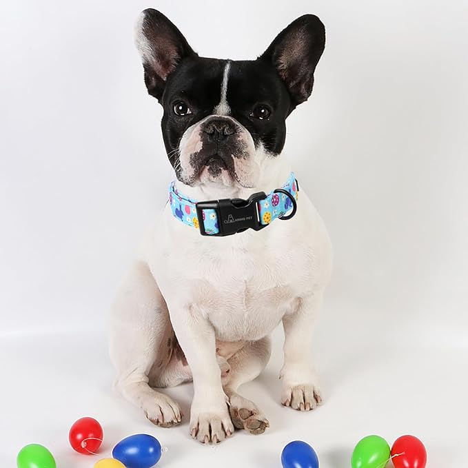 ARING PET Easter Dog Collar, Cute Blue Colorful Eggs Rabbit Floral Pet Collars with Quick Release Buckle for Puppy Small Medium Large Boy Girl Dogs-L
