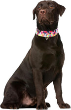 Martingale Collars for Dogs, Colorful Triangle Print No-Slip Escape Proof Choke No Pull Soft Nylon Training Dog Collars for Small Medium Large Breed Pet Dogs, L