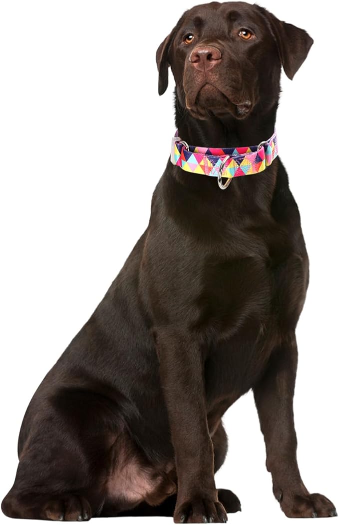Martingale Collars for Dogs, Colorful Triangle Print No-Slip Escape Proof Choke No Pull Soft Nylon Training Dog Collars for Small Medium Large Breed Pet Dogs, L