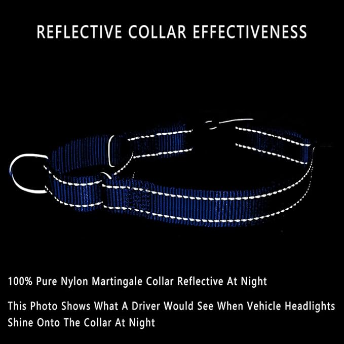 Plutus Pet Reflective Martingale Collar with Buckle - Durable and Adjustable Training Collar for No Pulling, Dog Choker Collar for Small Medium Large Dogs, Royal Blue, XS