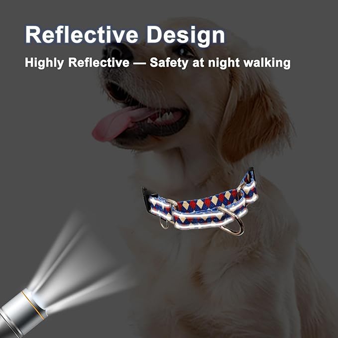 Reflective Martingale Dog Collar with Buckle Soft Nylon Geometric Patterns Pet Collars for Extra Small Dogs (Argyle, XS)