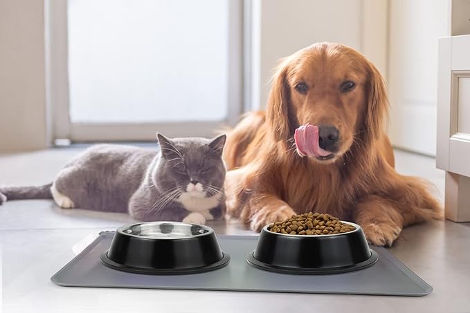 Stainless Steel Dog Bowls, Food and Water Non Slip Anti Skid Stackable Pet Puppy Dishes for Small, Medium and Large Dogs (2 Pack)