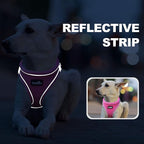 haapaw Dog Harness with Leash Set, No Pull Adjustable Reflective Step-in Puppy Harness with Thickened Padded Vest for Extra-Small/Small Medium Dogs