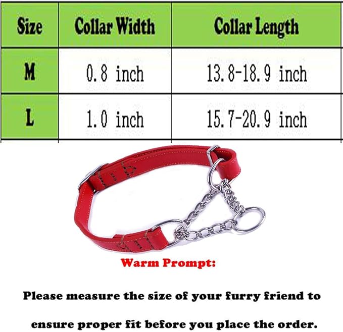 Love Dream Martingale Collars for Dogs, Leather Training Dog Collar, Stainless Steel Chain Anti-Escape No Pull Dog Collar for Medium Large Dogs (M(13.8"-18.9"), Red)