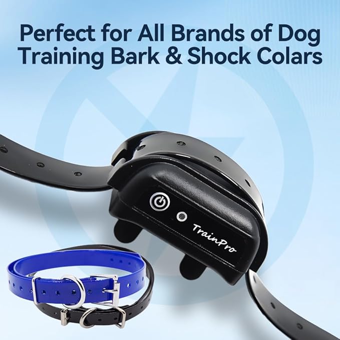 27 ½” X ¾” Replacement Dog Collar Strap Band w/Double Buckle Loop 2-Pack - All Brands Pet Training Bark, Shock, e-Collars and Fences. Variety of Bold Standard Colors & Reflective Choices.