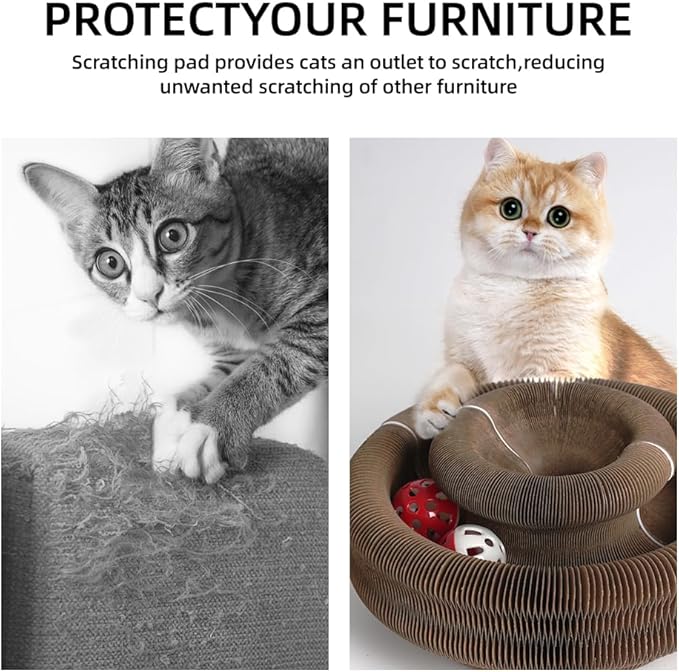 Magic Organ Cat Scratcher Board Cat Ball Adventure The Ultimate Interactive Mental Physical Exercise for Indoor Cats Toy (White and Orange, 1PCS)