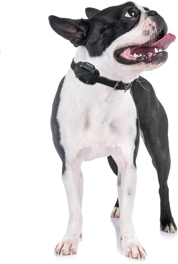 Educator CPAD-005 Dog Training Collar Receiver Comfort Pad, Improves Contact, Reduces Irritation and Skin Sensitivities, for Barkless Pro, Short Hair