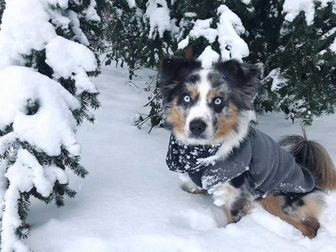 Gooby Stretch Fleece Vest Dog Sweater - Gray, Large - Warm Pullover Super Stretchy Fleece Dog Jacket for Small to Large Dogs