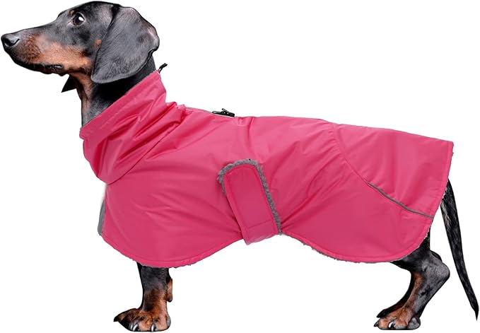 Dachshund Coats Waterproof, Perfect for Dachshunds, Sausage, Weiner Dog Winter Coat with Padded Fleece, Puppy Snowsuit with Adjustable Bands and High Vis Reflective Trim - Pink - XS