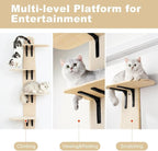 Cat Tree Door Hanger, Door Hanging Cat Climber Shelves, Vertical Space for Cats Doors Hanging