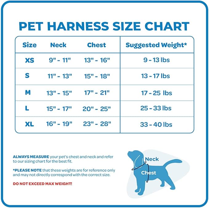 Best Pet Supplies Voyager Adjustable Step-in Flex Breathable Mesh Dog Harness for Small Medium Large Dogs (Fuchsia), L