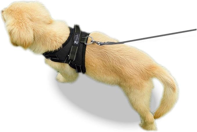No Pull Reflective Adjustable Dog Harness with Handle- Comfortable Soft All Weather Mesh, Easy On Puppy Harness for Small Medium and Large Dogs (Black) XX-Small