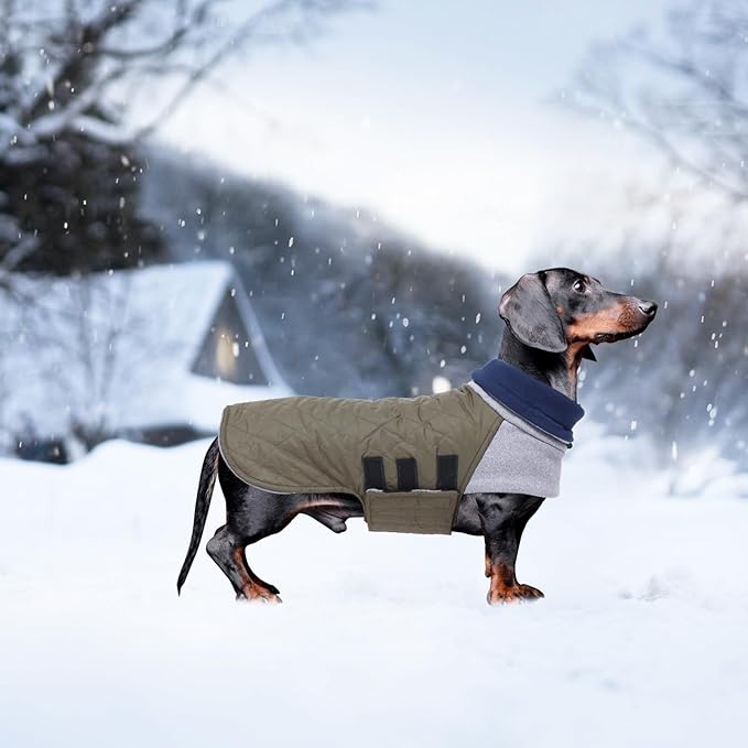 Geyecete Dachshund Coat,Dachshund Winter Coat,Warm Waterproof Windproof, High Neckine String Holes Miniature Dachshund Jacket for Small Dog-Green-L