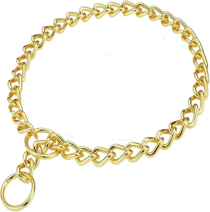 Chain Choke Collar for Dogs, Metal Slip Link Training Heavy Duty Dog Collar Martingale Puppy Collars for XXS XS Small Medium Large Big XL Breed Dogs (Gold, M)