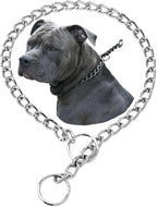 Choke Collar for Dogs,Dog Chain Collar Stainless Steel Martingale Collars Training Slip P Link Puppy Choke Chains for XXS XS Small Medium Large Breed Dog, Silver XL