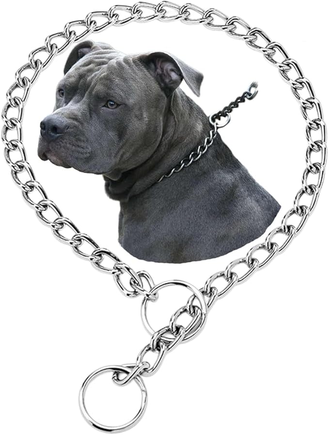 Choke Collar for Dogs, Dog Chain Collars Slip P Chain Choker Stainless Steel Link Dog Collar Martingale Training Heavy Duty Puppy Collars for XXS XS Small Medium Large Breed Dog, Silver XXS