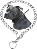 Choke Collar for Dogs, Dog Chain Collars Slip P Chain Choker Stainless Steel Link Dog Collar Martingale Training Heavy Duty Puppy Collars for XXS XS Small Medium Large Breed Dog, Silver XXS