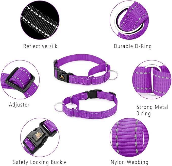 PLUTUS PET Reflective Martingale Collar with Quick Snap Buckle,No Pull Dog Choker Collar for Small Medium Large Dogs,S,Purple