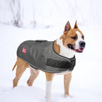 BEAUTYZOO Dog Winter Coat for X-Large Dogs Waterproof, Warm Reflective Great Dane Oxford Canvas Jacket, Fleece Dog Cold Weather Coats Windproof for Female Male Dogs, Grey XL