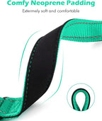 Martingale Collar for Dogs with Quick Release Buckle, Reflective Soft Padded & Escape Proof, Adjustable Nylon Dog Collars for Training & Daily Walking (Turquoise,XS)