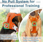 BARKBAY Dog Harness No Pull Oxford with ID Tag Pocket - Heavy Duty, Reflective, Easy Control for Large Dogs(Pumpkin Oxford,M)