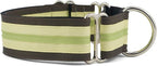 If It Barks - 1.5" Martingale Collar for Dogs - Adjustable - Nylon - Strong and Comfy - Ideal for Training - Made in USA - Medium, Key Lime Pie