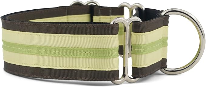 If It Barks 1.5" Martingale Collar for Dogs, Adjustable Nylon, Made in USA,Key Lime Pie,Small (11" - 15")