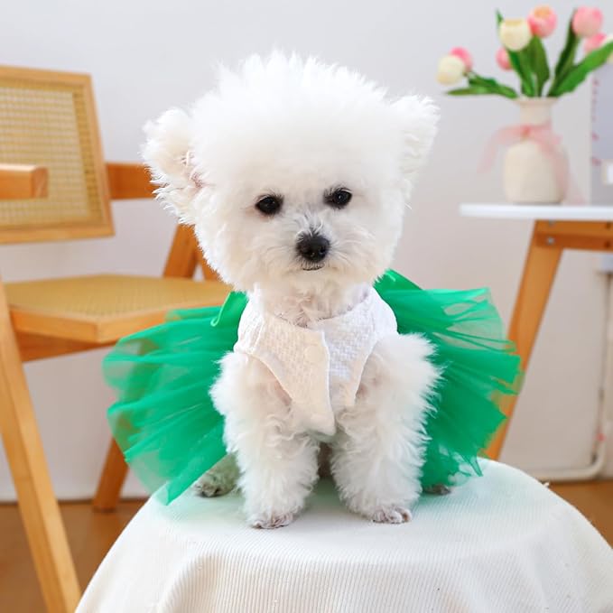 Furbabycare® Elegant Sweet St. Patrick's Day Puppy Dog Blingbling Princess Skirt Pet Dog Lace Cake Camisole Tutu Dress B-Green-1 Large