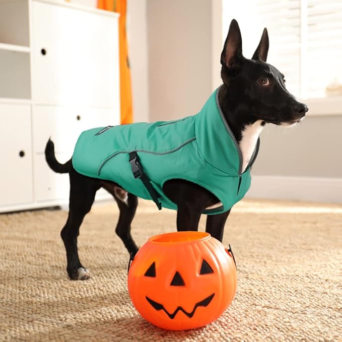 EMUST Dog Jacket Winter, Cozy Windproof Pet Jacket for Cold Weather, Solid Color Dog Vests for Winter for Medium Dogs, Turquoise, M