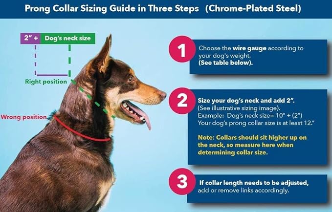 Herm Sprenger Prong Collar for Dog Training with Easy Quick Release Buckle - German Made Dog Collar with Chrome Plated Steel 3.0mm Prongs for Large - Extra Large Dogs (20-25" Neck)