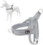 Plutus Pet No Pull Dog Harness with Breathable Mesh Padded, Adjustable Reflective Escape Proof Dog Harness, Quick Fit Dog Vest Harness for Small Medium Large Dogs(XL, Gray)
