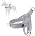 Plutus Pet No Pull Dog Harness with Breathable Mesh Padded, Adjustable Reflective Escape Proof Dog Harness, Quick Fit Dog Vest Harness for Small Medium Large Dogs(XXS, Gray)