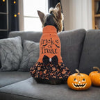 CuteBone Halloween Dog Sweater Dress Trick or Treat Knit Turtleneck Puppy Sweater with Bowtie Harness Hole Pullover Winter Dress for Small Medium Dogs and Cat Pet Apparel