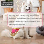 2 Pack Dog Belly Dancer Skirt, Bling Belly Dance Hip Scarf for Corgis Dog Waist Wrap with Sequins Adjustable Puppy Pet Dancing Dress Costumes for Halloween Parties Celebration Performance
