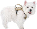 Tactical Dog Harness for Small Dog - Reflective Puppy Pet Vest No Pull Military Service Dog Vest with Vertical Handle XS Dog Harness for Outdoor Training