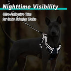 BARKBAY Dog Harness No Pull Mesh for Large Dogs - Adjustable, Reflective, Comfortable, No Choke, Heavy-Duty - Perfect for Outdoor Training, Walking, and Hiking - Strong & Durablee- XL & Blue Star Mesh