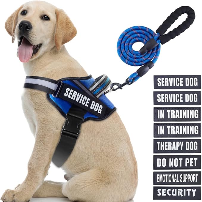 Service Dog Vest Harness and Leash Set, Animire in Training Dog Harness with 10 Dog Patches, Reflective Dog Leash with Soft Padded Handle for Small, Medium, Large, and Extra-Large Dogs (Blue,L)