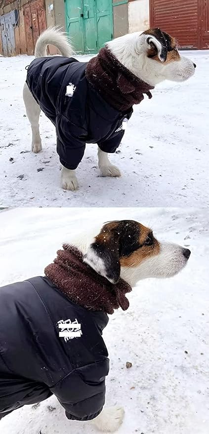 Dog Winter Coat Duck Down Jacket for Small Medium Dogs-Thicken Dog Coat Windbreaker Puppy Winter Clothes for Cold Weather Snowday (Black, Medium)