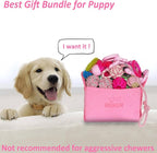 Beiker 20 Pack Pink Puppy Chew Toys - Dog Teething Toys for Puppies, Puppy Toys Toothbrush with Ropes, Soft Dogs Toy Bundle for Small Dogs, Cute Interactive Dog Balls for Chewers