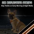 BARKBAY No Pull Dog Harness Large Reflective Dog Harness with Front Clip and Easy Control Handle for Walking Training Running with ID tag Pocket(Orange,XS)