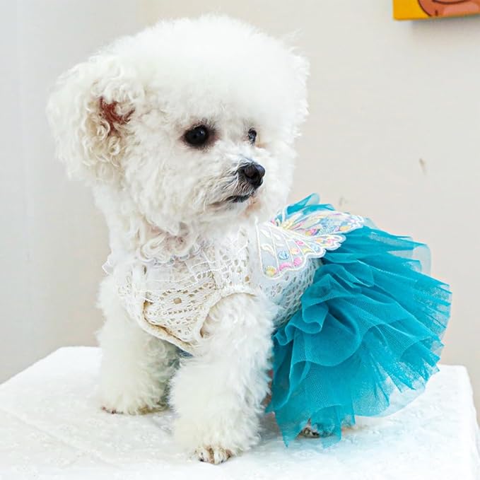 ANIAC Butterfly Dog Dress with Blue Tutu Funny Dog Clothes with Wing Girl Puppy Dress for Small Dogs Pet Butterfly Costume Holiday Cat Outfit for Halloween Birthday Wedding (Lake Blue, Medium)