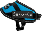 ShawnCo Essential Pro Dog Harness, No-Pull Pet Vest with 3 Leash Clips and Removable, Reflective Side Patches, Adjustable and Padded Harness for Small, Medium and Large Dogs (Oceanic Blue, XS)