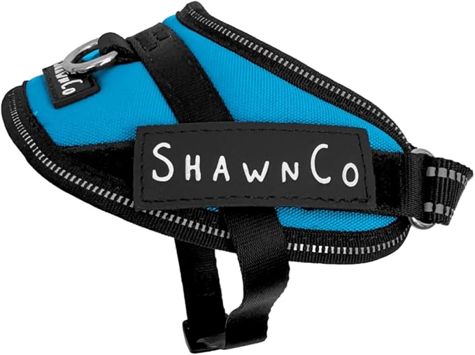 ShawnCo Essential Pro Dog Harness, No-Pull Pet Vest with 3 Leash Clips and Removable, Reflective Side Patches, Adjustable and Padded Harness for Small, Medium and Large Dogs (Oceanic Blue, XS)