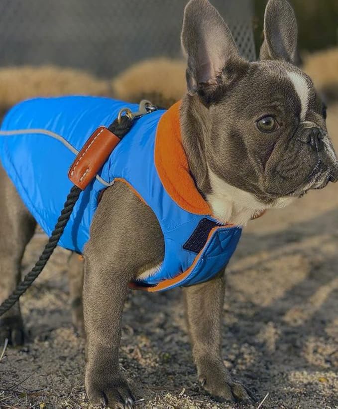 Gooby Sports Vest Dog Jacket - Blue, Medium - Reflective Dog Vest with D Ring Leash Warm Fleece Lined Hook and Loop Closure for Small to Medium Dogs