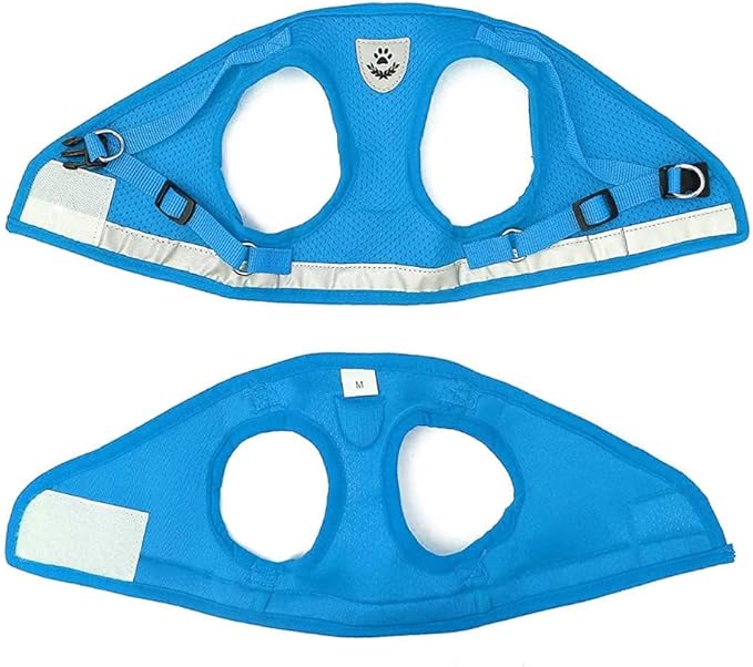 FEimaX Dog Harness and Leash Set for Walking, Soft Mesh Adjustable Easy Control Lightweight Cat Vest Harnesses with Reflective Strips, Escape Proof Small Dogs Cats Vests (Azure, Large)