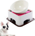 Bulldog Bowl Ceramic Dog Food Bowl - Cat Dish Wide Mouth Dog Bowl Pet Sterile Tilted Pet Feeder with Anti-Skid Rubber Mat (White M/1.5 Cup)