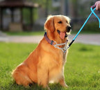 Martingale Collars for Dogs, Heavy Duty Stainless Steel Chain Training Collar, Reflective Nylon Adjustable Collar with Quick Release Buckle, Suitable for Puppy Medium Large Dogs (Red, XS)